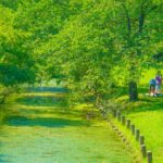 第30回 延伸沿線ウォーキング 初回ver. 金町駅→水元公園