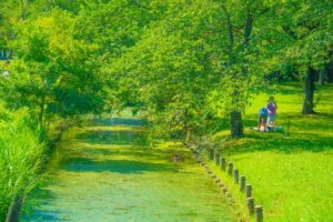 第３０回 延伸沿線ウォーキング 初回ver.　金町駅→水元公園