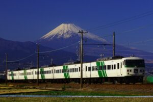 金町・亀有駅を通る185系ツアー情報