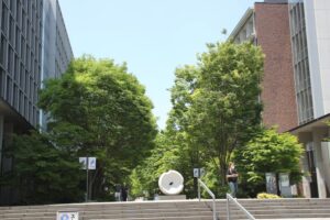 新金線を活用した新たな交通システム整備構想