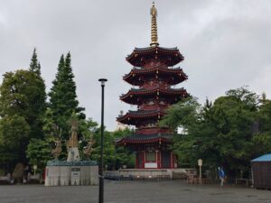 新金線を活用した新たな交通システム整備構想