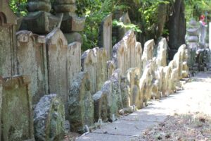 新金線を活用した新たな交通システム整備構想