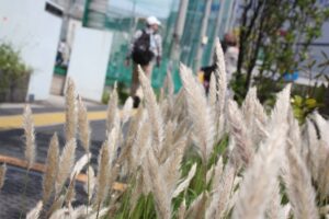 新金線を活用した新たな交通システム整備構想