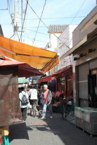 新金線を活用した新たな交通システム整備構想