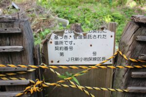 新金線を活用した新たな交通システム整備構想