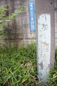 新金線を活用した新たな交通システム整備構想