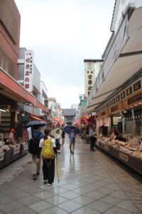 新金線を活用した新たな交通システム整備構想