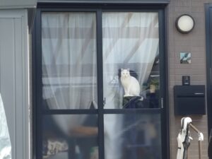 新金線を活用した新たな交通システム整備構想